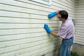 Affordable Siding Repair and Maintenance Services in North Judson, IN